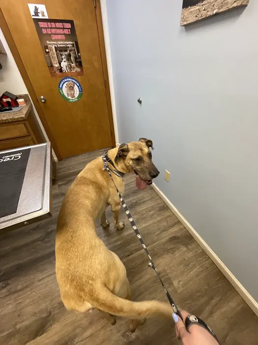 Ore Creek Veterinary Clinic Picture 10