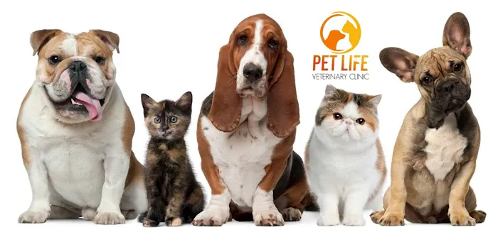 Pet Life Veterinary Clinic Picture 1