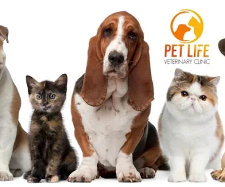 Pet Life Veterinary Clinic