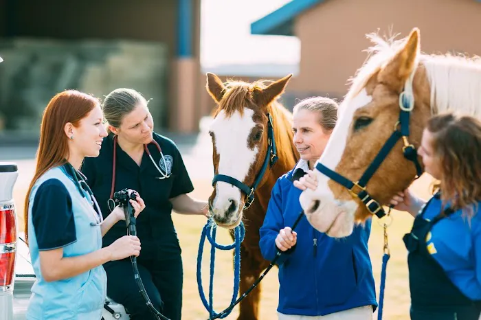 Midwestern University Large Animal Clinic Picture 1