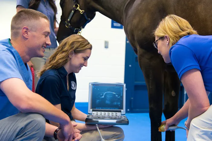 Midwestern University Large Animal Clinic Picture 2