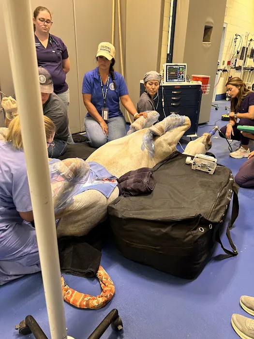 Midwestern University Large Animal Clinic Picture 5