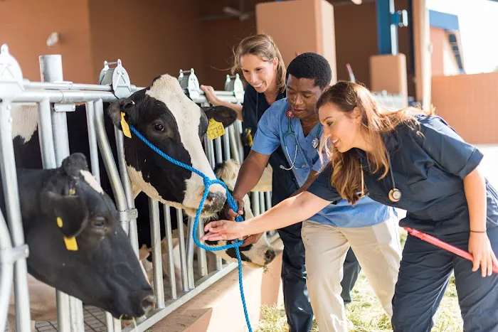 Midwestern University Large Animal Clinic Picture 6