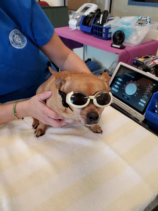 Midwestern University Companion Animal Clinic Picture 4