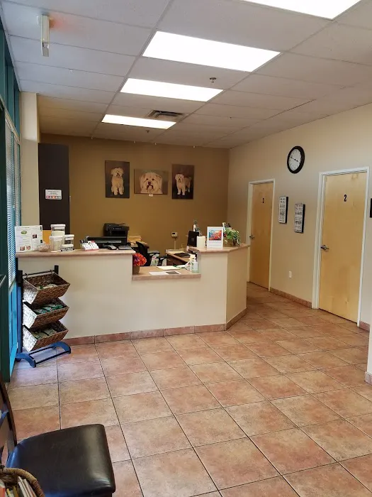 Apollo North Animal Hospital Picture 4