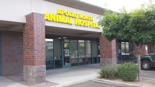 Apollo North Animal Hospital Picture 3