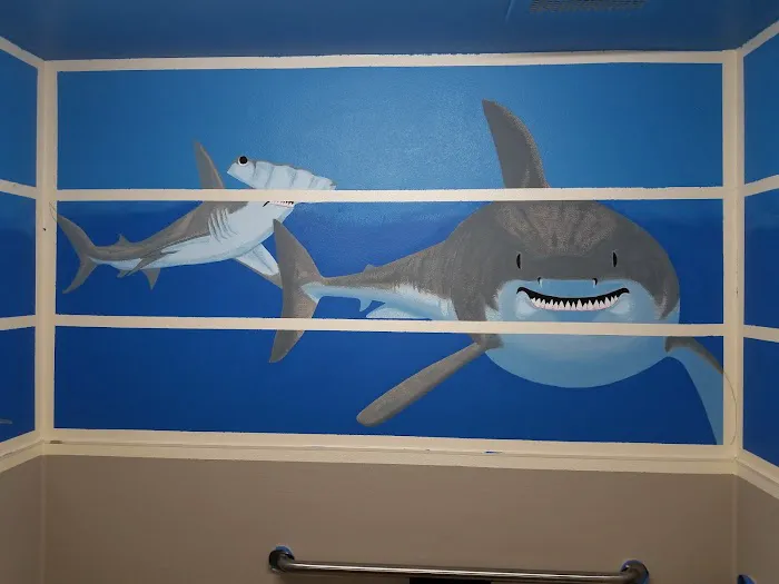 Apollo North Animal Hospital Picture 8