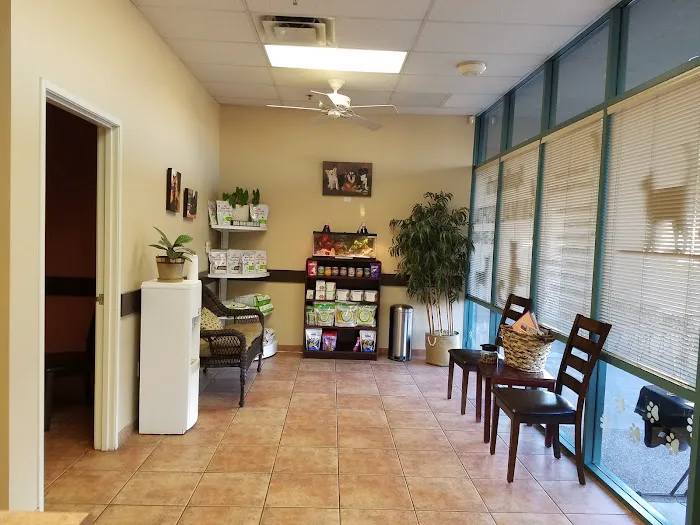 Apollo North Animal Hospital Picture 7