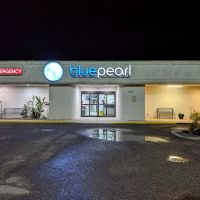 BluePearl Pet Hospital ico