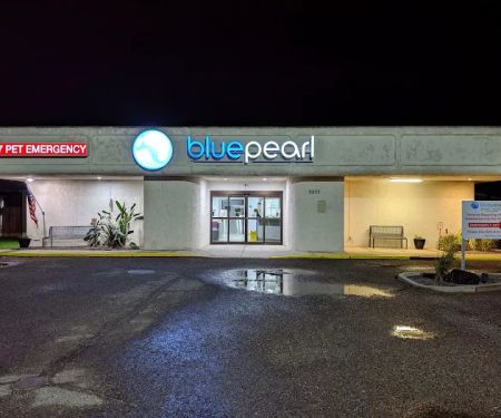 BluePearl Pet Hospital