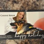 Arizona Veterinary Physical Rehabilitation