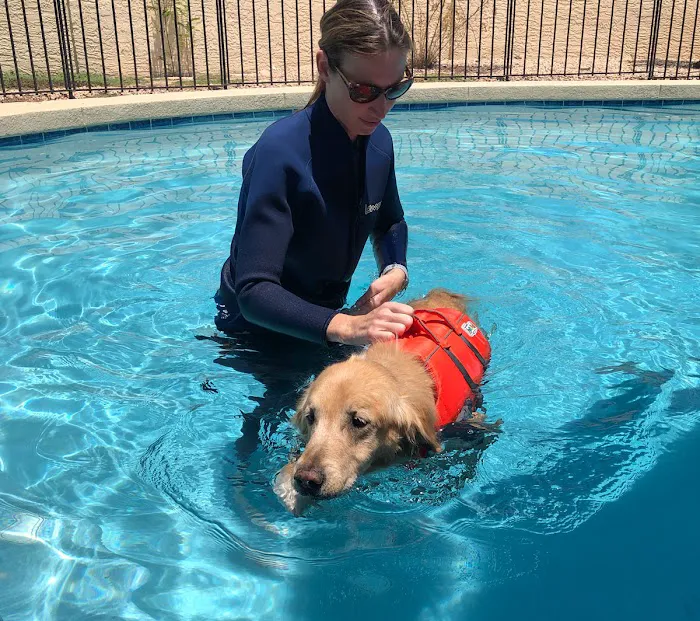 Arizona Veterinary Physical Rehabilitation Picture 8