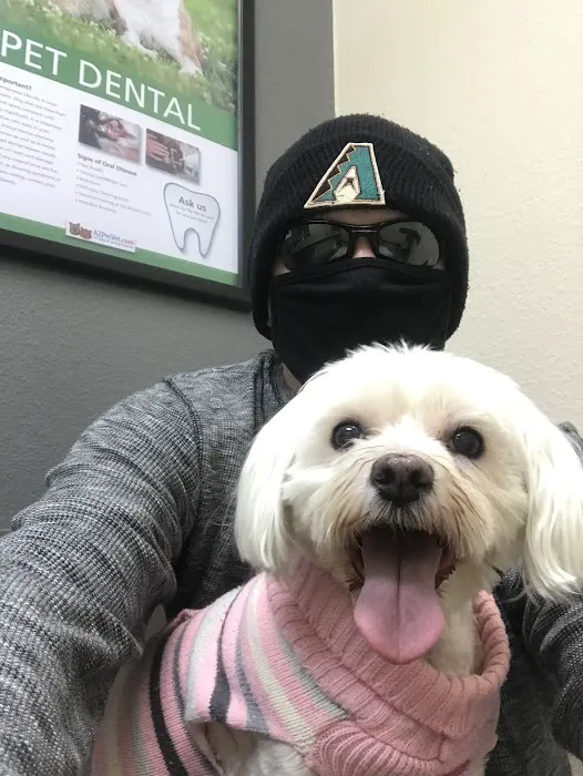 Lovet Pet Health Care - Beardsley Picture 4