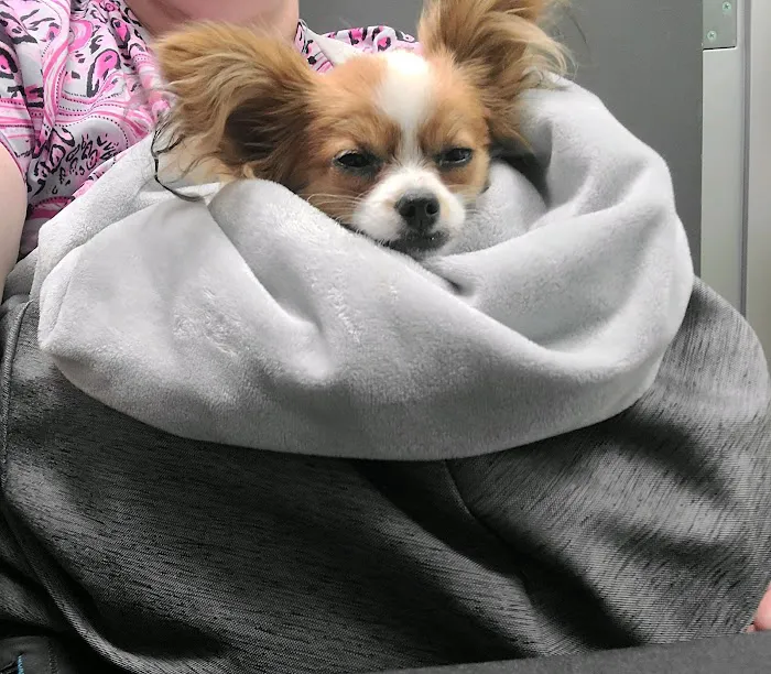 Stetson Hills Animal Hospital Picture 5
