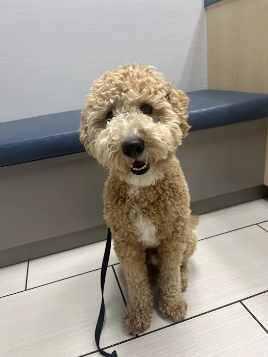 Stetson Hills Animal Hospital Picture 3