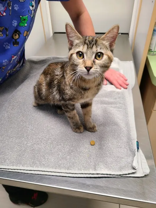 Stetson Hills Animal Hospital Picture 7