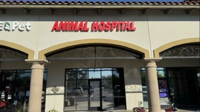 Stetson Hills Animal Hospital Picture 9