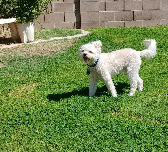 West Valley Animal Hospital Picture 1