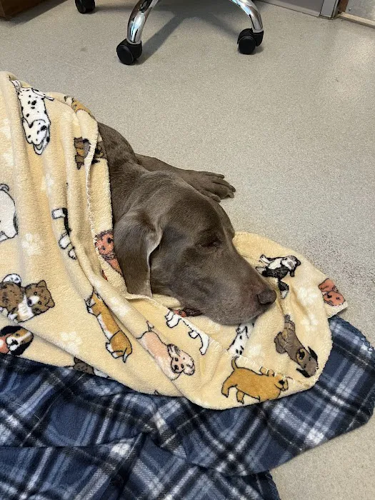 West Valley Animal Hospital Picture 3