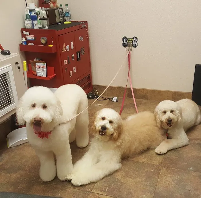 Lovet Pet Health Care - Fletcher Heights Picture 4