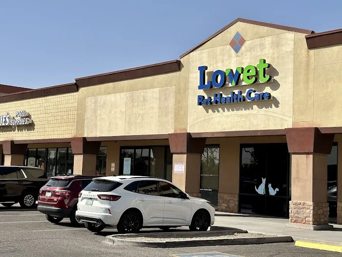 Lovet Pet Health Care - Fletcher Heights Picture 7