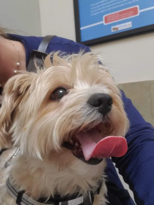 Lovet Pet Health Care - Arrowhead Ranch Picture 8