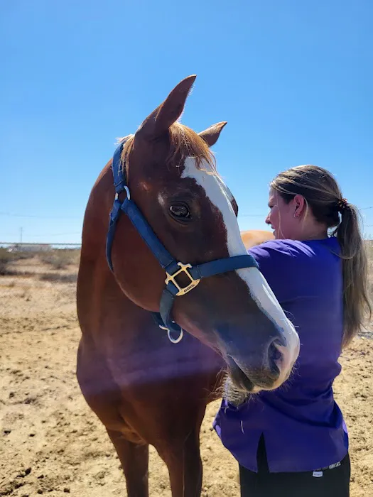 Durango Equine Veterinary Clinic Picture 4