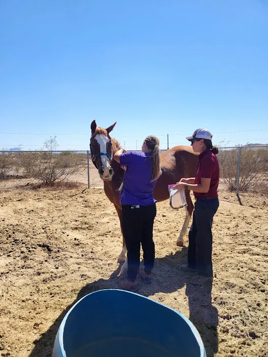 Durango Equine Veterinary Clinic Picture 3