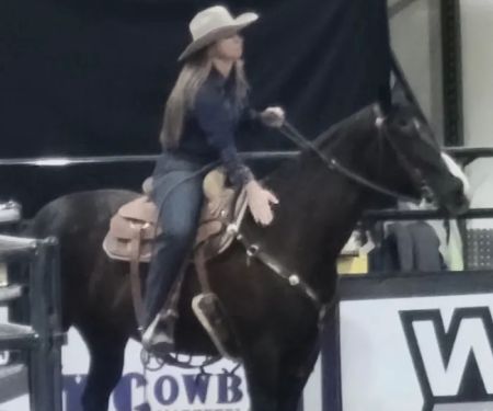 Durango Equine Veterinary Clinic