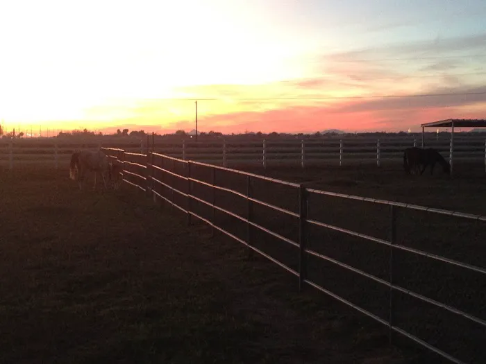 Durango Equine Veterinary Clinic Picture 6