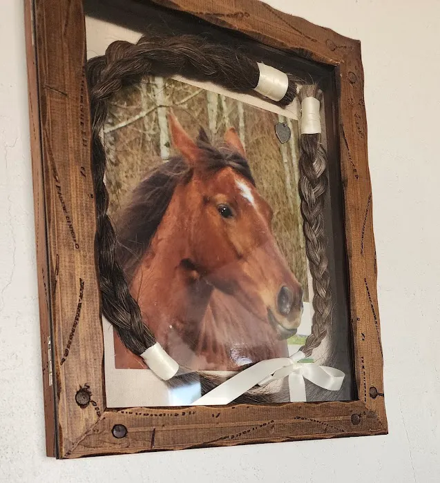 Durango Equine Veterinary Clinic Picture 7