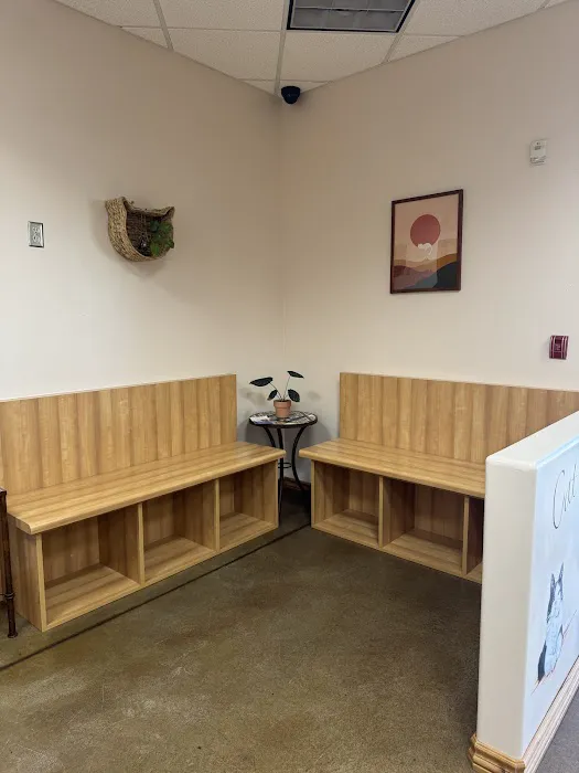 Durango Small Animal Veterinary Clinic Picture 7