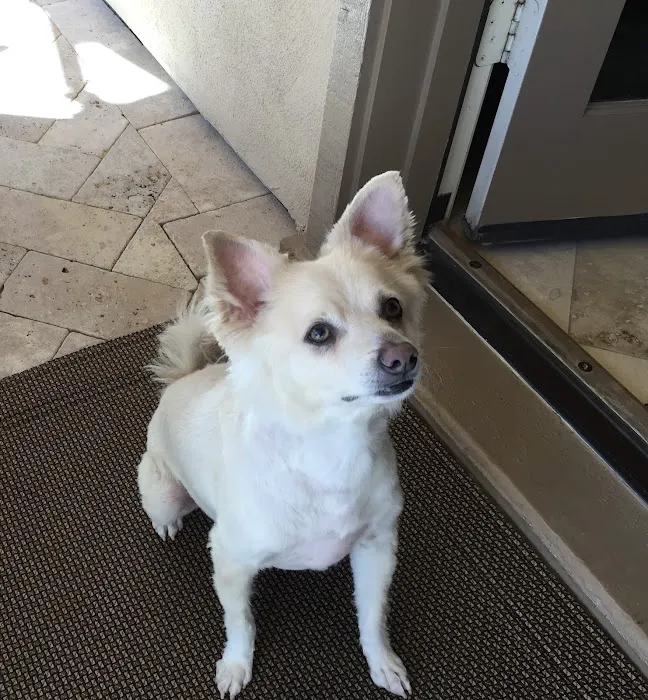 Pets At Peace Picture 1