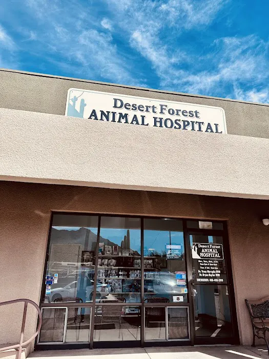 Desert Forest Animal Hospital Picture 6