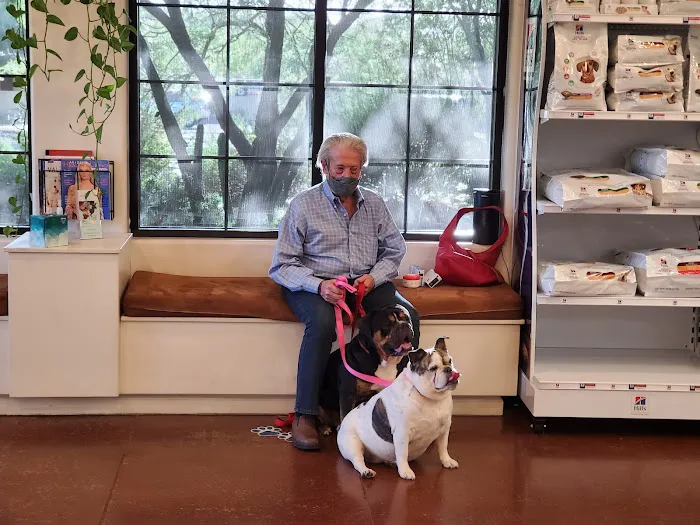 Animal Health Services of Cave Creek Picture 1