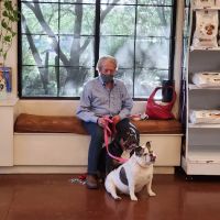 Animal Health Services of Cave Creek ico