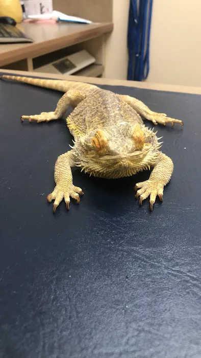 Lovet Pet Health Care - Dove Valley Picture 8