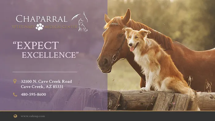 Chaparral Veterinary Medical Center Picture 7