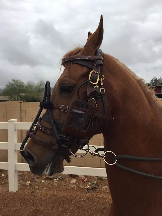 Chaparral Veterinary Medical Center Picture 6