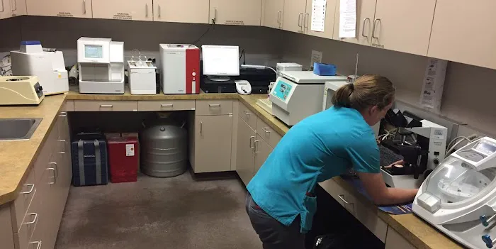 Chaparral Veterinary Medical Center Picture 5