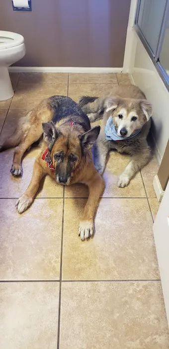 Dynamite Creek Animal Hospital Picture 3