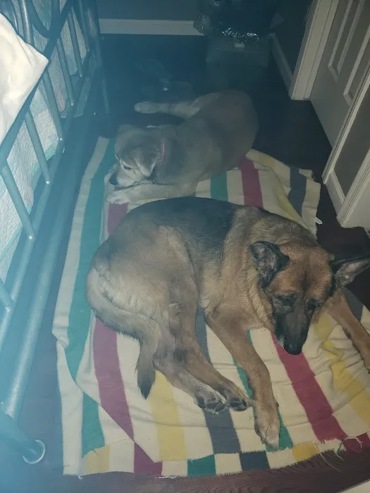 Dynamite Creek Animal Hospital Picture 5