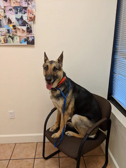 Dynamite Creek Animal Hospital Picture 4