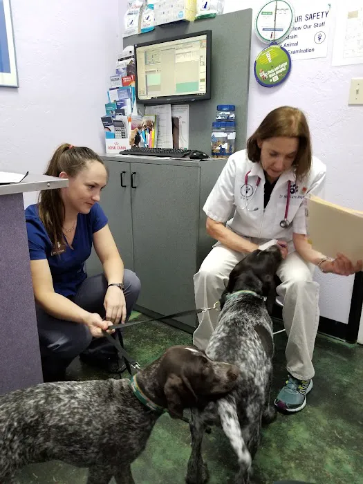 Animal Hospital At Tatum Ranch Picture 4