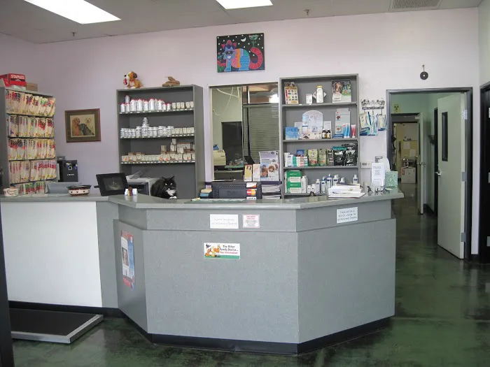 Animal Hospital At Tatum Ranch Picture 10