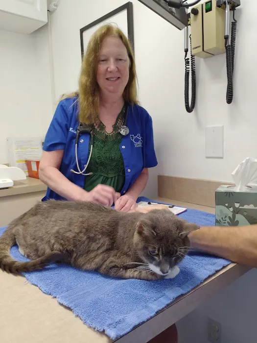 All Cats Hospital Picture 4