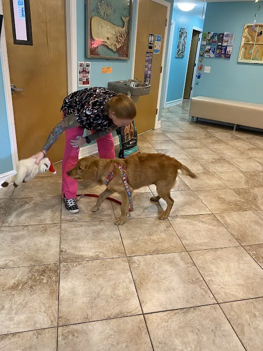 Indian Rocks Beach Animal Hospital Picture 2