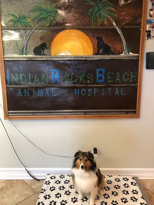 Indian Rocks Beach Animal Hospital Picture 1