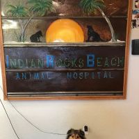 Indian Rocks Beach Animal Hospital ico