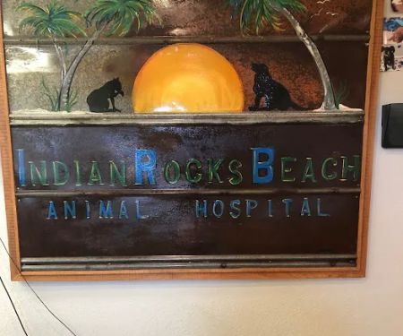 Indian Rocks Beach Animal Hospital